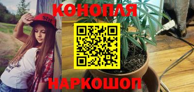 spice Чебоксары