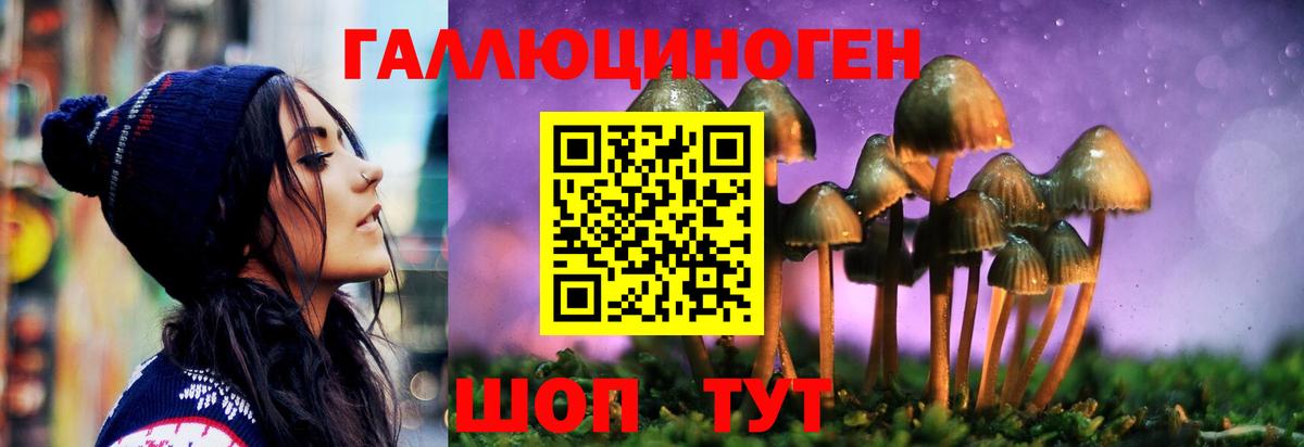 Галлюциногенные грибы прущие грибы  Вход с VPN  Новочебоксарск  Псилоцибиновые грибы Magic Shrooms 